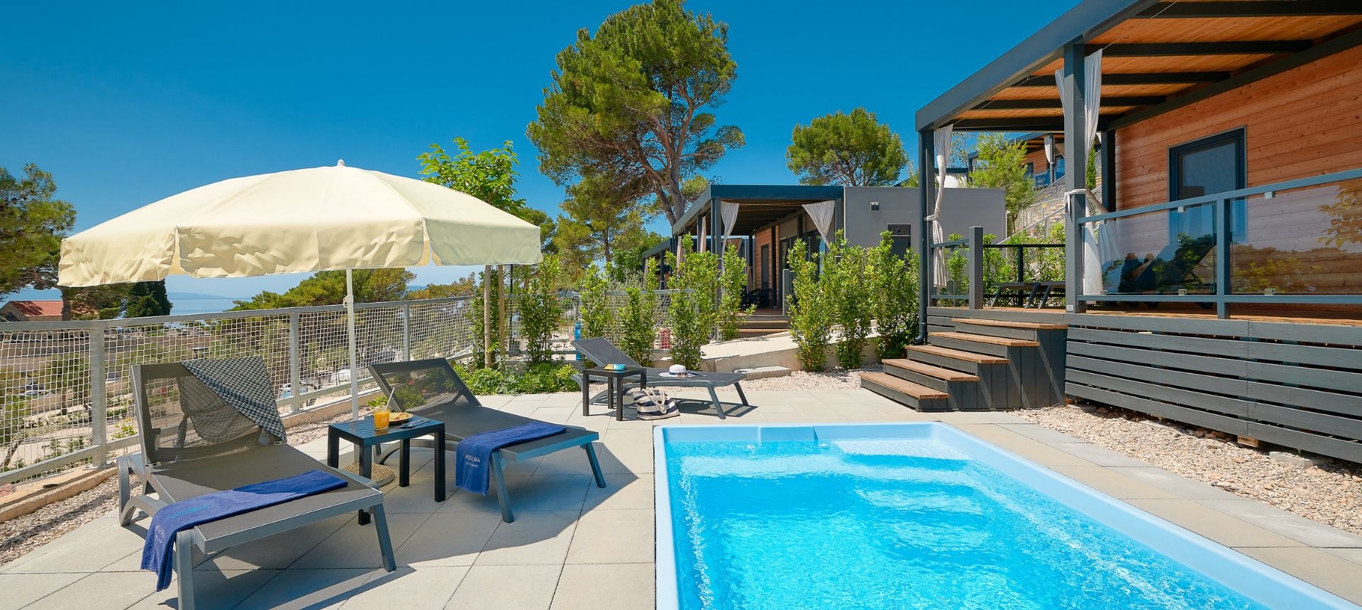 medora orbis cover photo 1.jpg